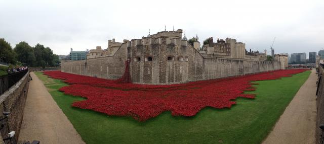 Poppies_Tower_of_London_-_Artists_Cummins_and_Piper.JPG